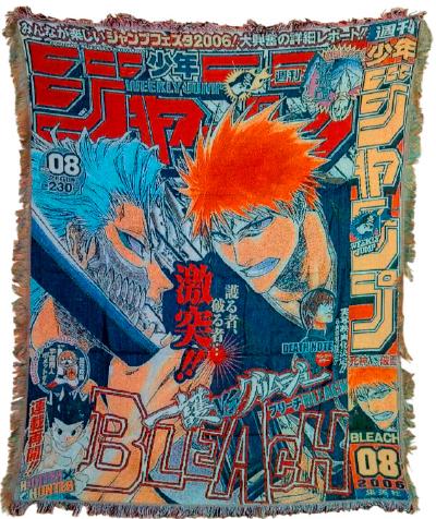/images/bleach_1.jpg
